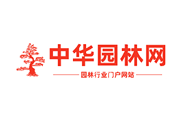 2020南方公益传播奖：丹姿集团“科技+扶贫”让爱更有新意